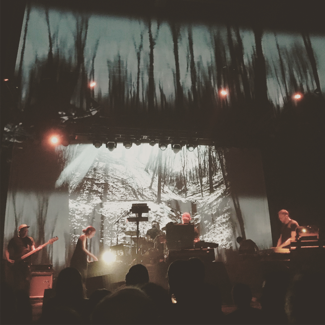 Black Moth Super Rainbow